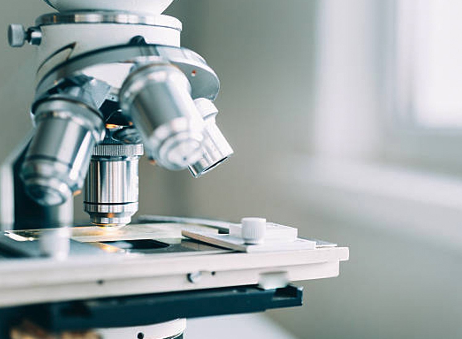 idexx-microscope