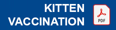 Kitten Vaccination button Local Vets