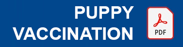 Puppy Vaccinations PDG Logo Local Vets