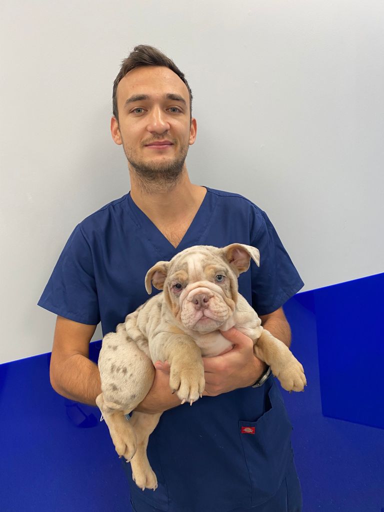 Daniel from Local Vets
