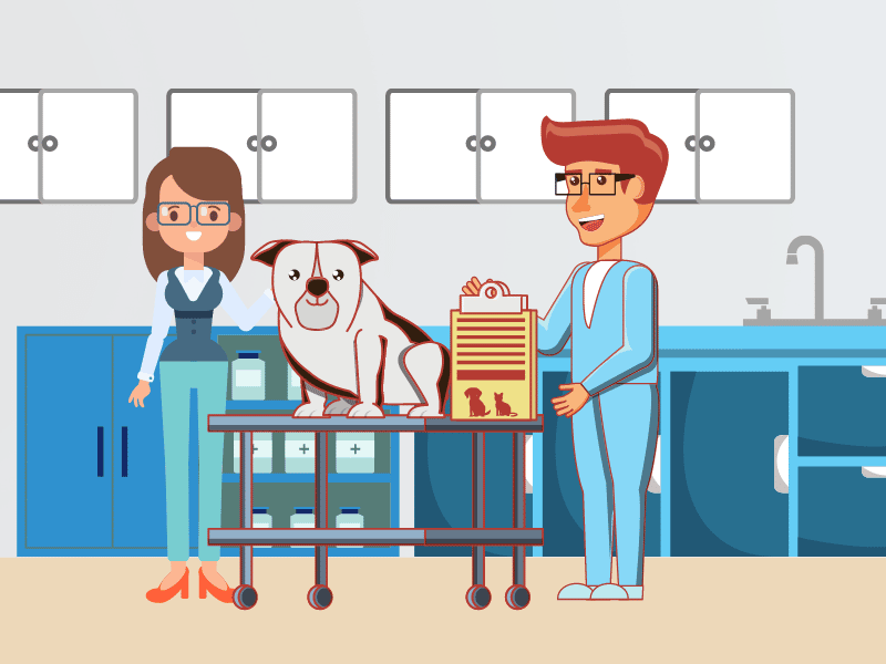 A cartoon illustration of the veterinary services offered by Local Vets in Dudley