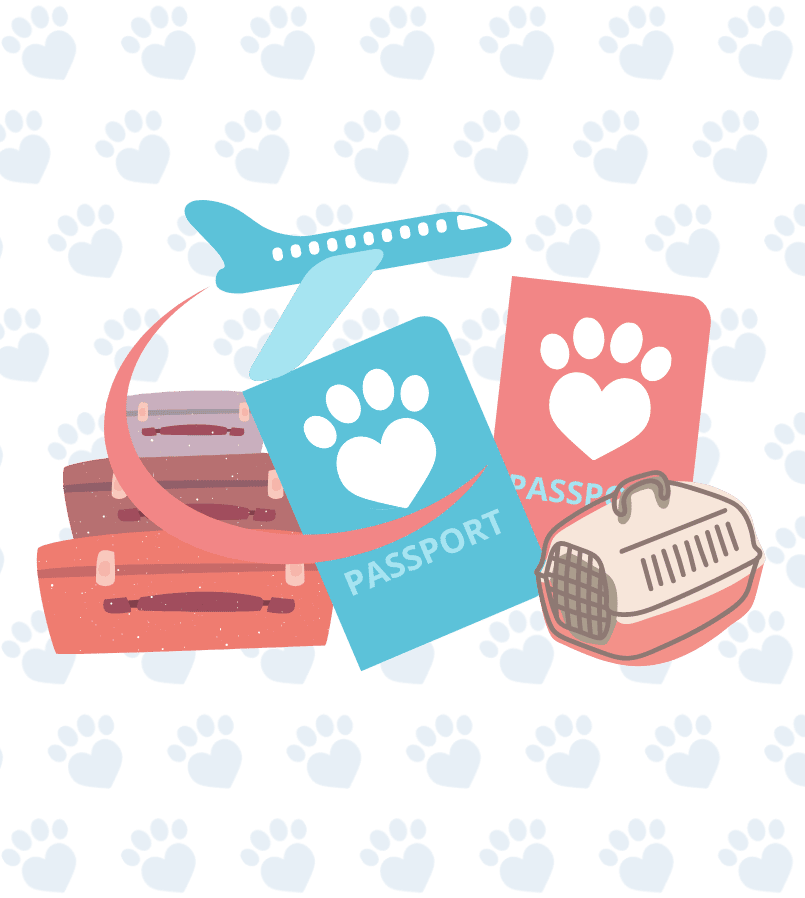 Pet passport services from Local Vets Halesowen and Oldbury