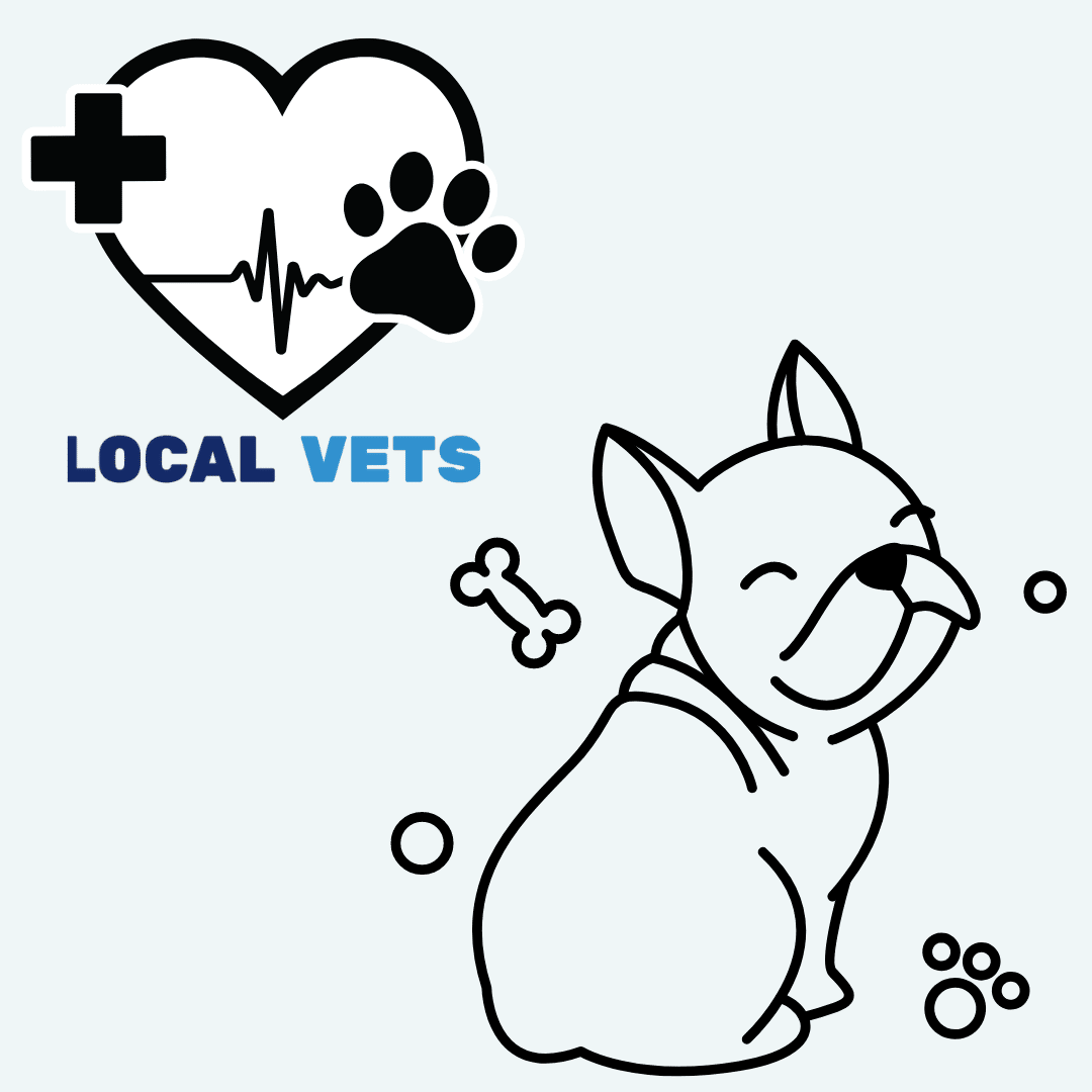 We offer a variety of services here at Local vets as a French Bulldog Vet Specialist Near You. Check out our website for more information