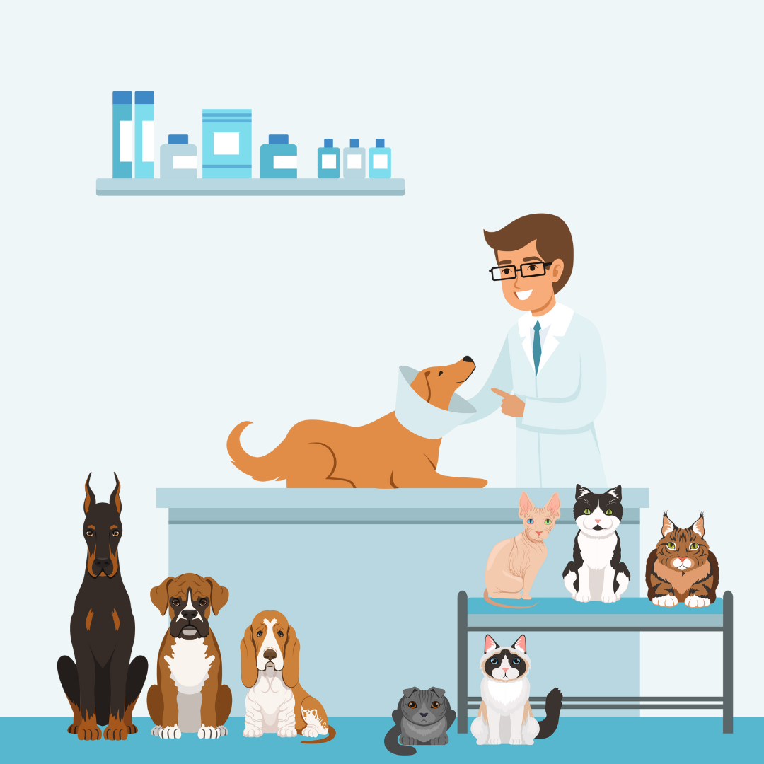 Local vet clinics near sales me