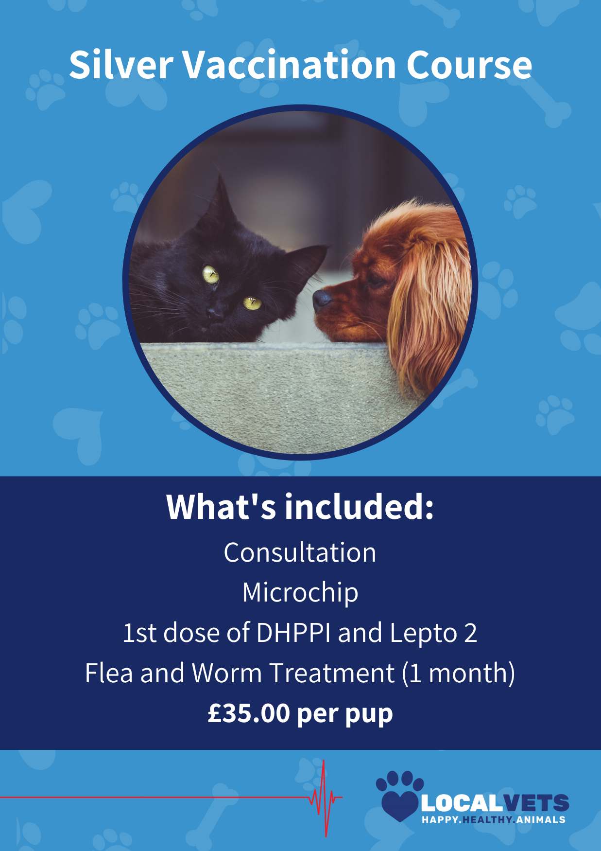 Silver vaccination package available at Local Vets