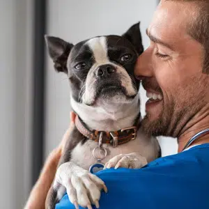 neutering near me local vets neutering near me