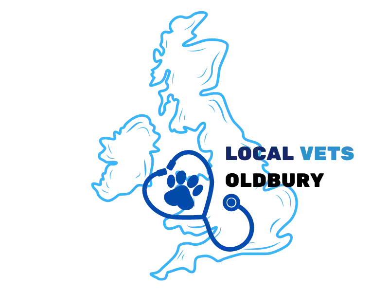 An illustration showing Local Vets location in Oldbury near Smethwick on a UK map