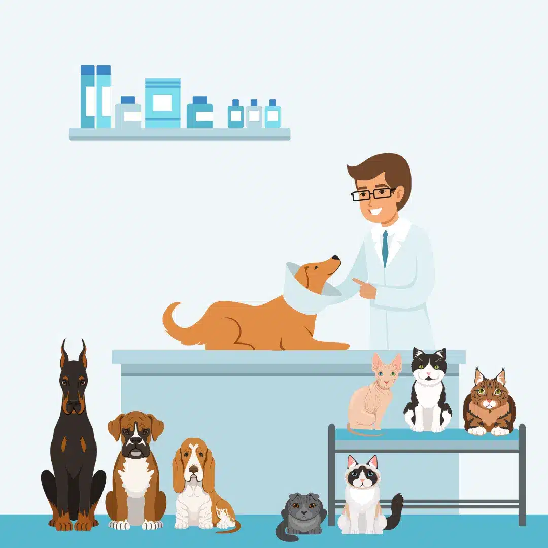 An illustration of a Local Vets' surgeon before carrying out cat neutering in Birmingham