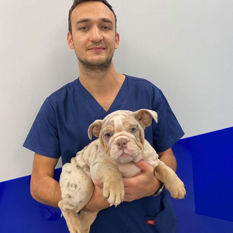 Daniel from Local Vets