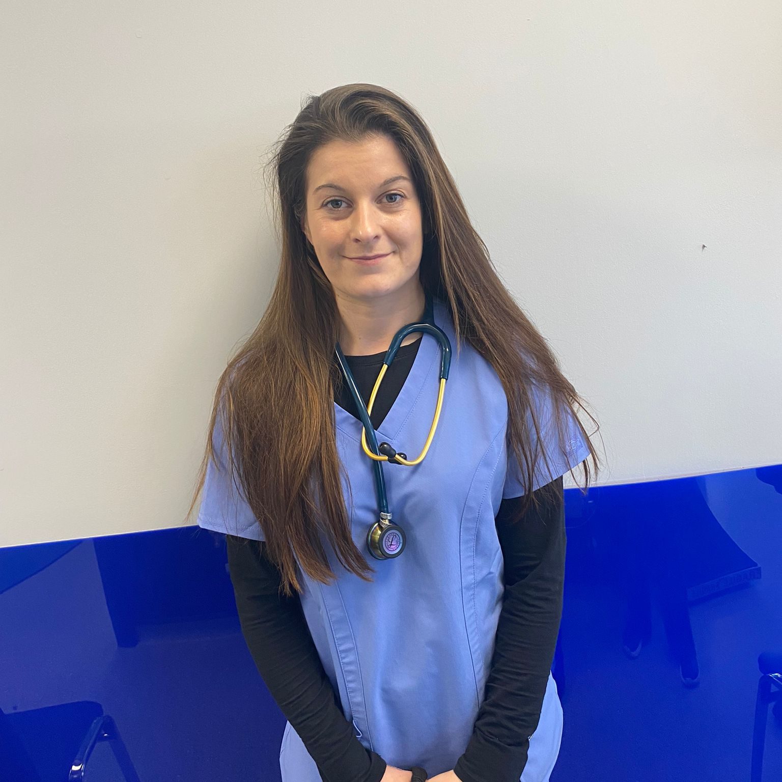 Local Vets Alice