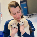Noemi Vet with puppies at local Vets