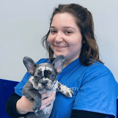 Olivia Local Vets