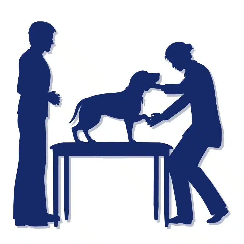 if you're in need of emergency vets near me, choose Local Vets