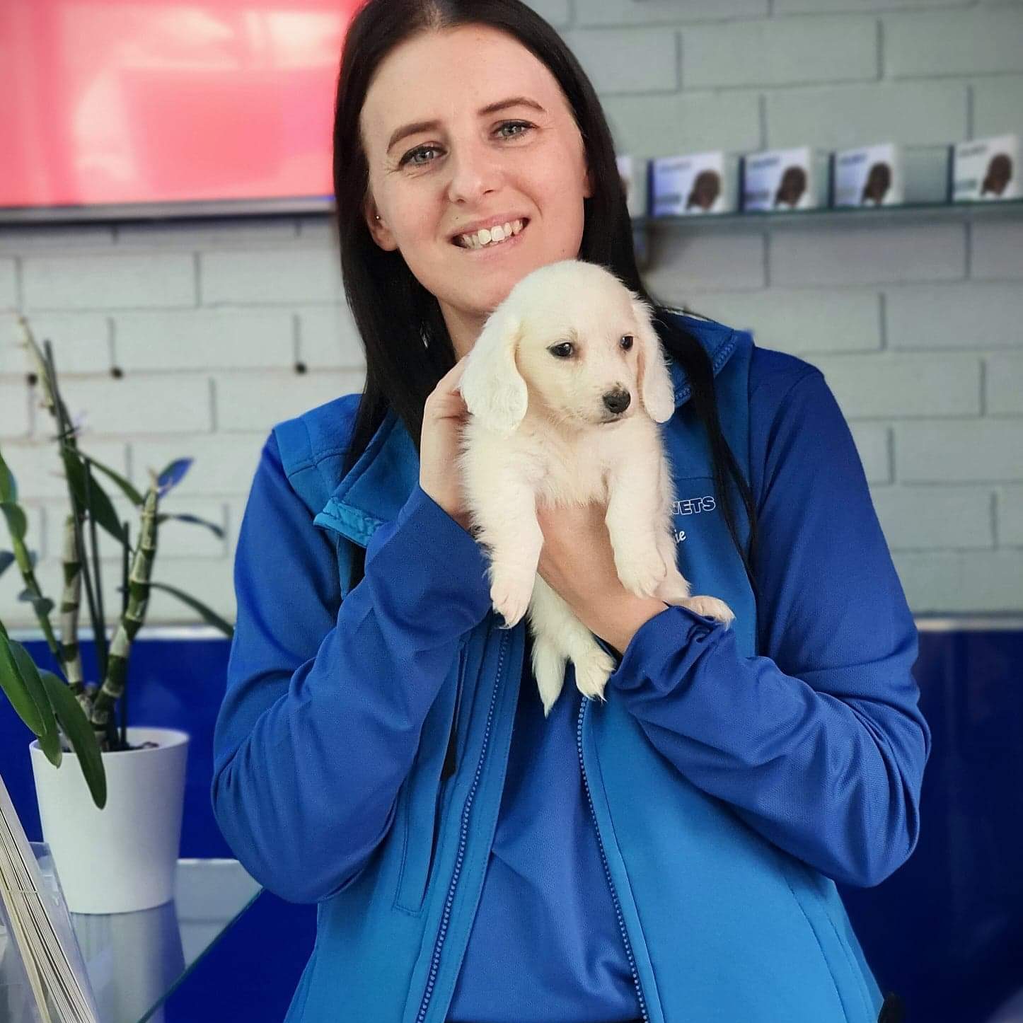 Vet Sophie